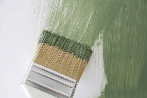 Best Mold Documentation for Insurance Claims  in Myrtle Point, OR