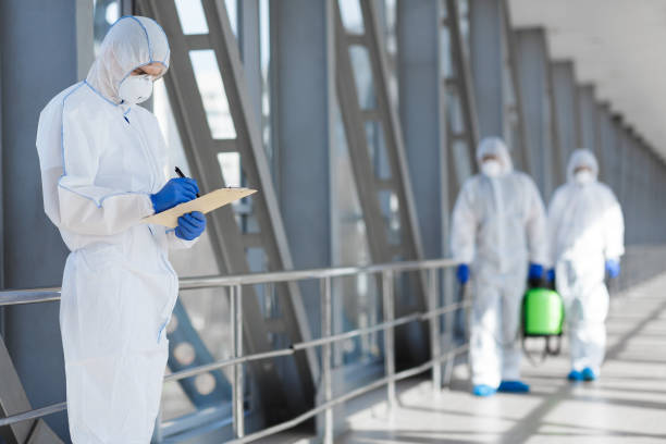Best Industrial Mold Remediation  in Myrtle Point, OR