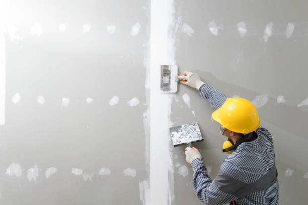 Best Mold Removal for HVAC Installations  in Myrtle Point, OR