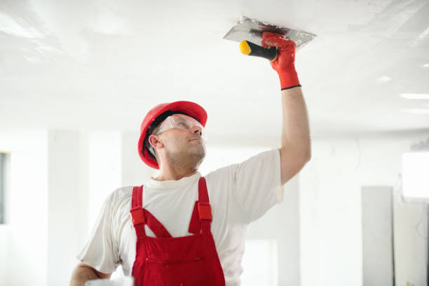 Best Crawl Space Mold Remediation  in Myrtle Point, OR