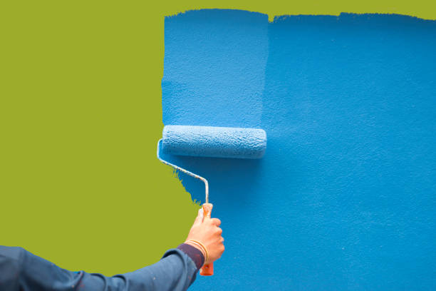 Best Basement Mold Removal  in Myrtle Point, OR